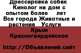 Дрессировка собак (Кинолог на дом с опытом более 10 лет) - Все города Животные и растения » Услуги   . Крым,Красногвардейское